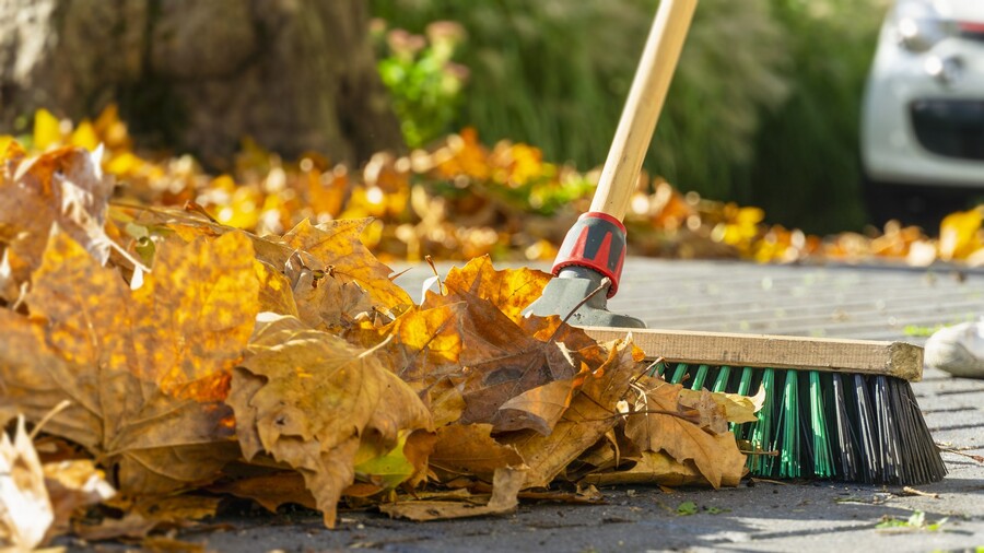 Leaf removal by Master Fix It, LLC.