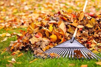 Fall Clean Up services in Kingwood, Texas