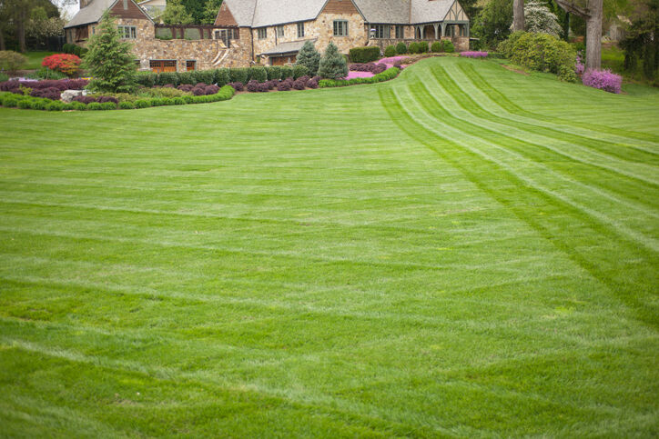Lawn care by Master Fix It, LLC.