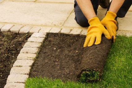 Lawn installation by Master Fix It, LLC.