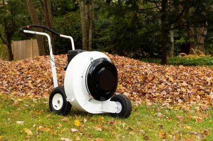 Leaf removal in Cypress, TX by Master Fix It, LLC.