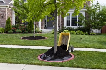 Mulching in Kingwood Services