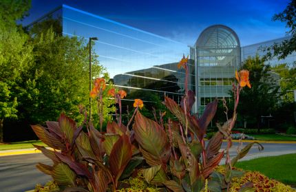 Commercial landscaping by Master Fix It, LLC.