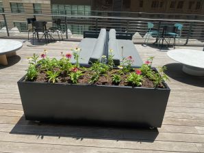 Garden Design in Houston, TX (2)