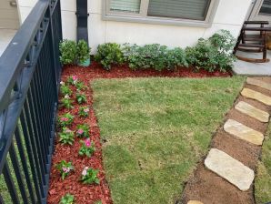 Landscaping in Pasadena, TX (2)