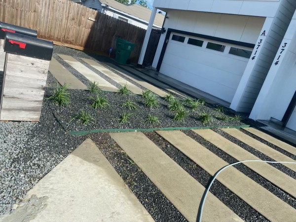 Landscaping in Uptown Houston, TX (1)